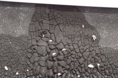 Roof w 6 Months of Life left