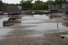 Pond or Failing Roof?