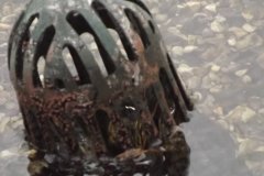 Clogged Roof Drain