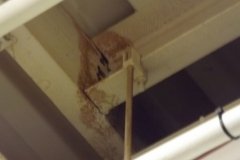 Flat Roof Drain Leak